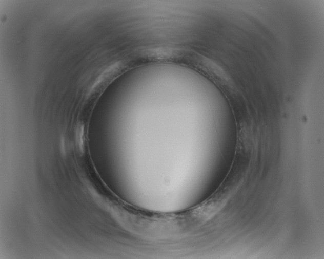 X0000062930024200601131523