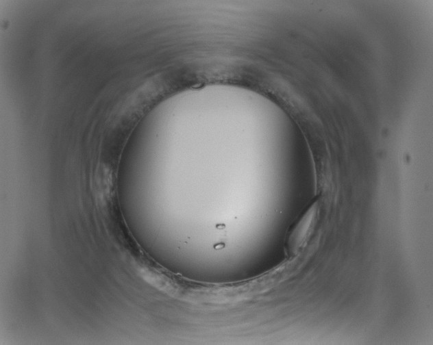 X0000062930025200601131523