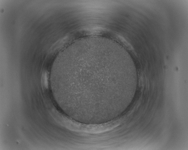 X0000062930026200601131523