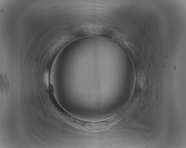 X0000062930027200601131523