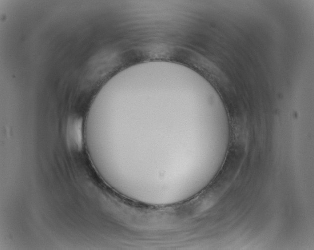 X0000062930028200601131523