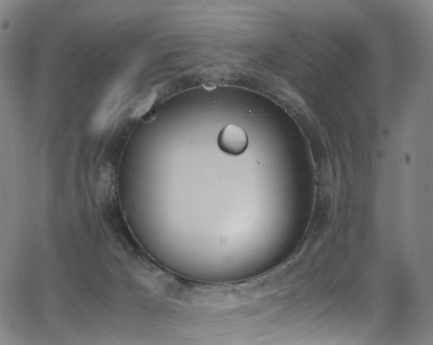 X0000062930029200601131523