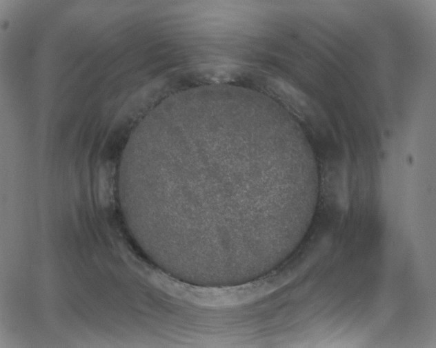 X0000062930030200601131523