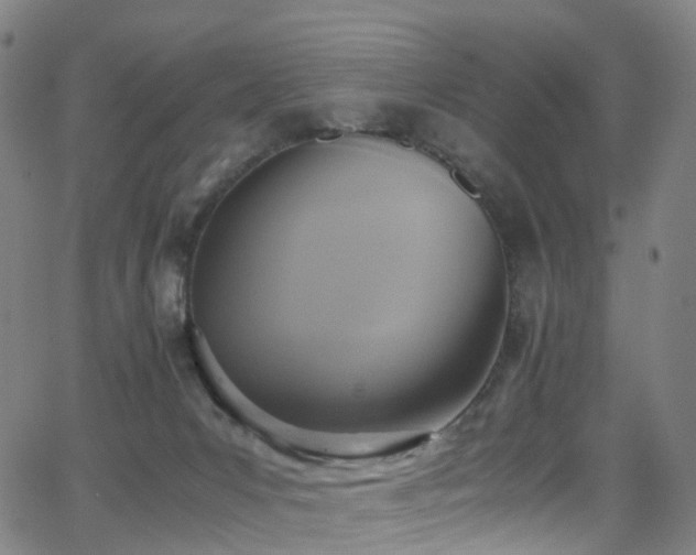 X0000062930031200601131523