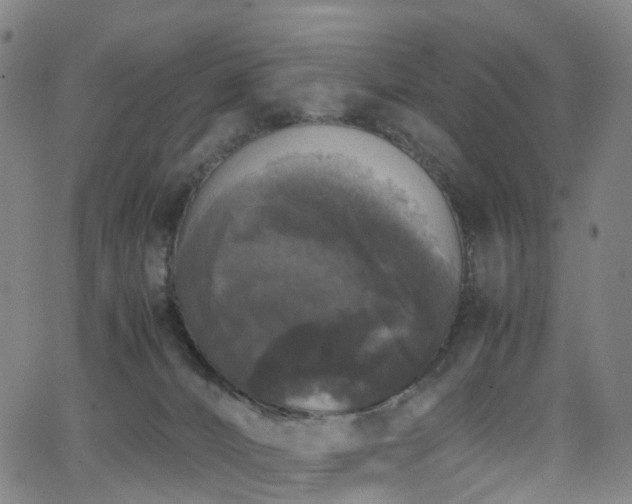 X0000062930032200601131523