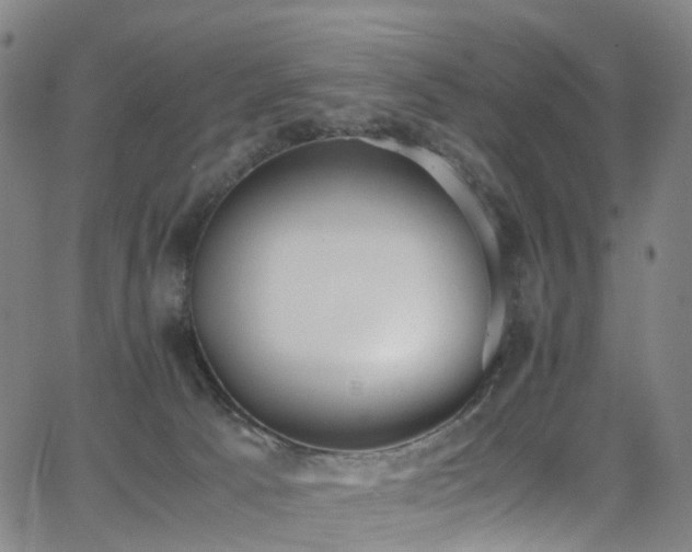 X0000062930033200601131523