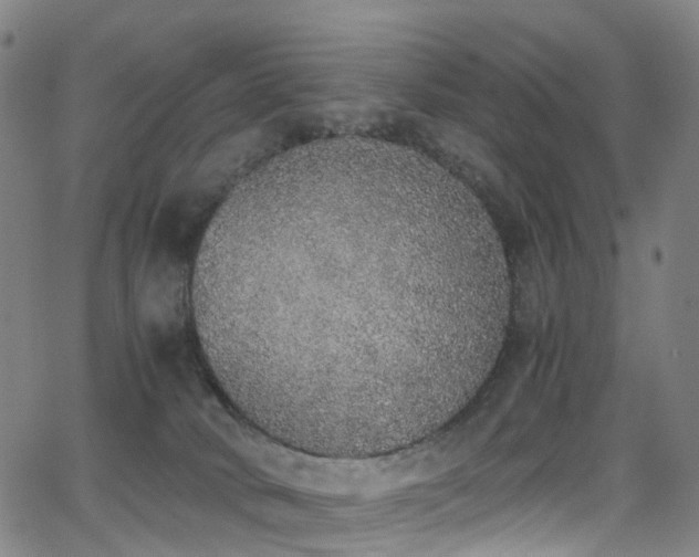 X0000062930034200601131523