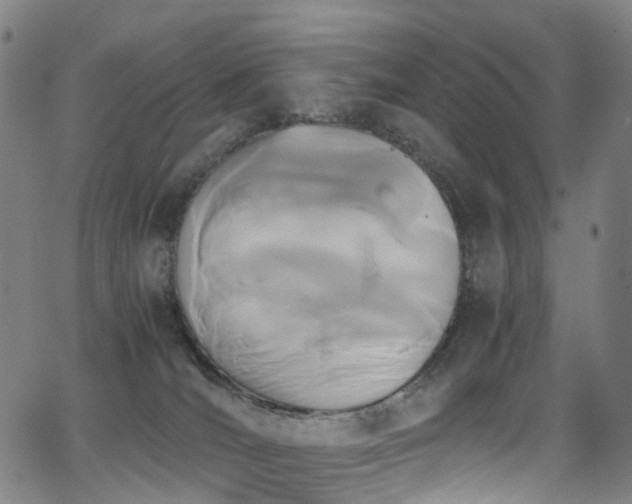 X0000062930036200601131523