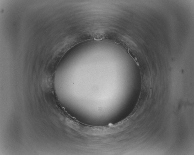 X0000062930037200601131523