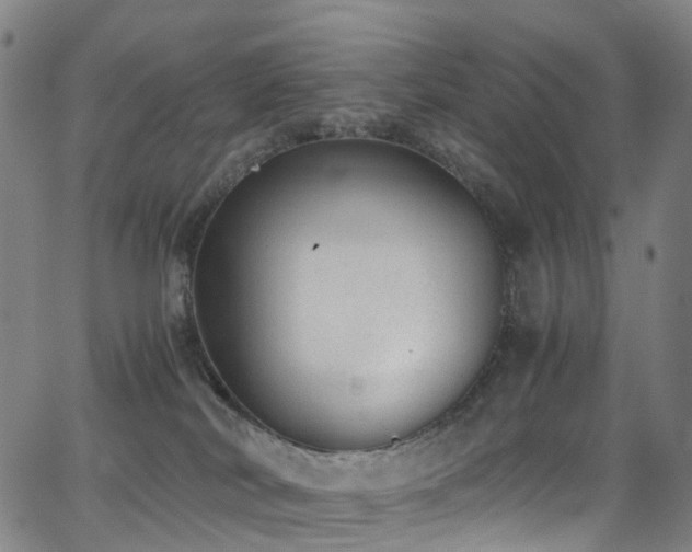 X0000062930038200601131523