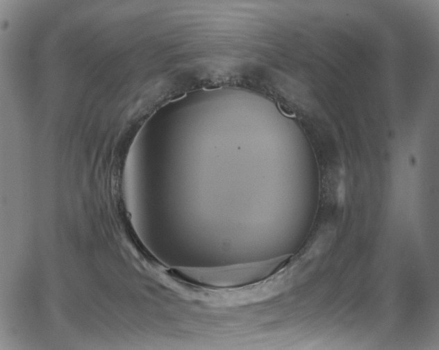 X0000062930039200601131523