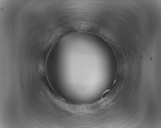 X0000062930040200601131523