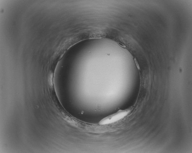 X0000062930041200601131523