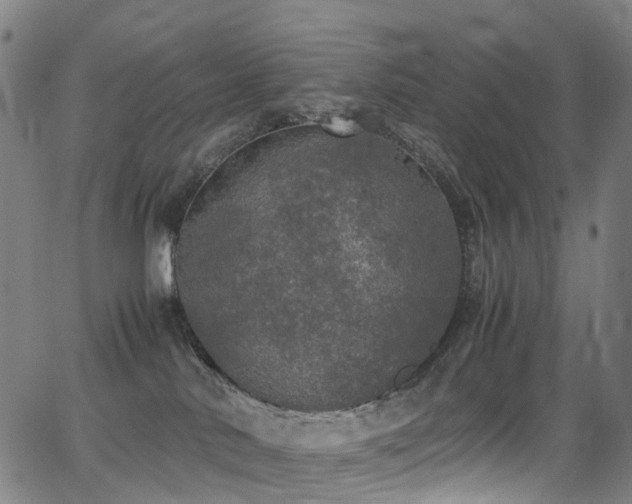 X0000062930042200601131523