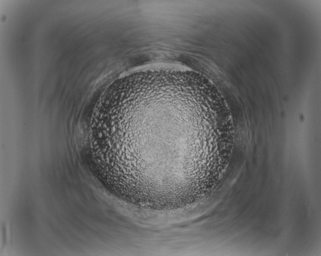 X0000062930043200601131523