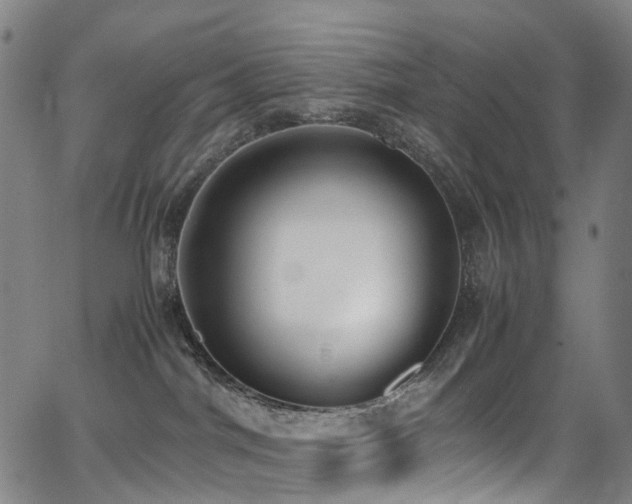 X0000062930044200601131523