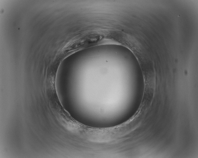 X0000062930045200601131522