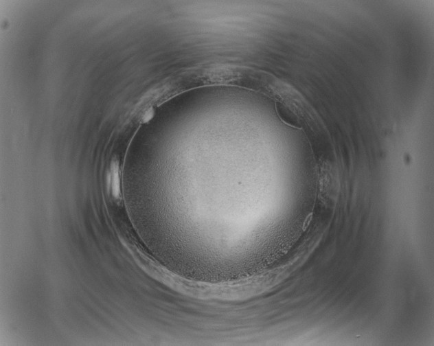 X0000062930046200601131522