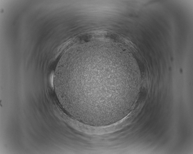 X0000062930047200601131522