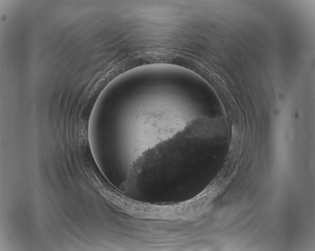 X0000062930048200601131522