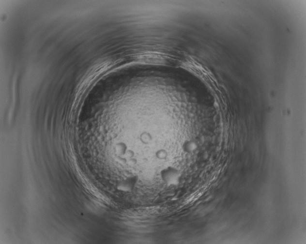 X0000062930049200601131522