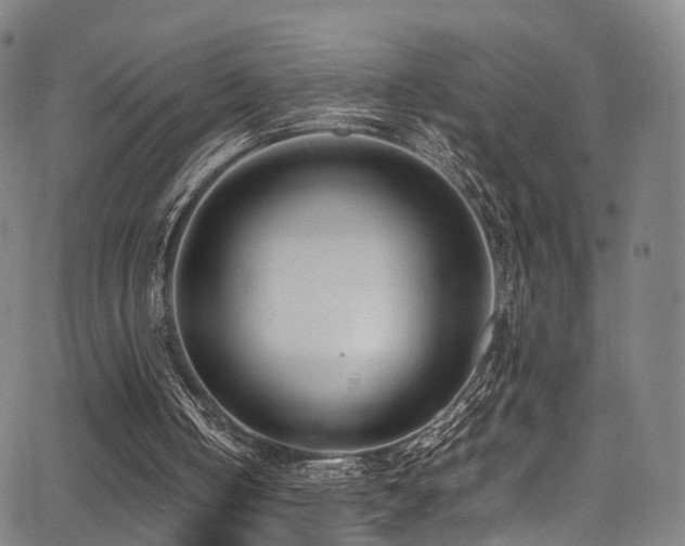 X0000062930050200601131522