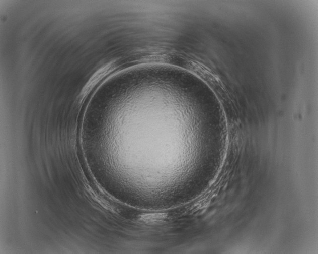 X0000062930051200601131522