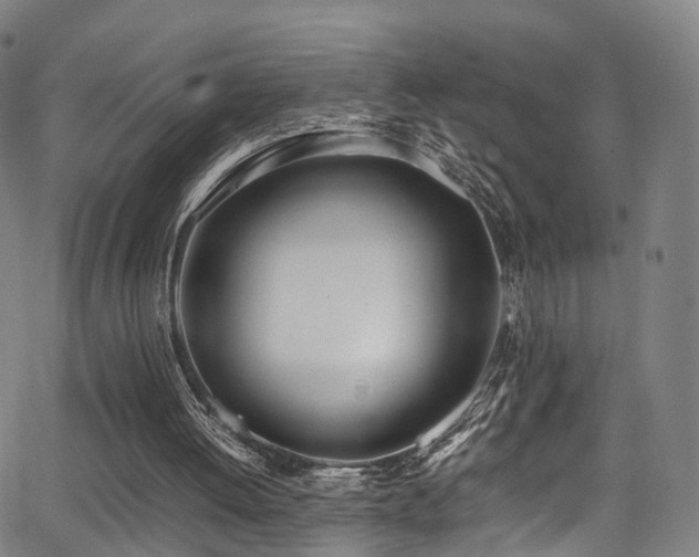 X0000062930052200601131522