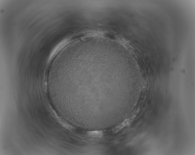 X0000062930053200601131522