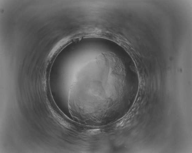 X0000062930054200601131522