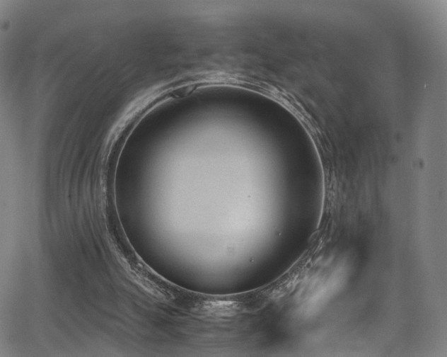 X0000062930055200601131522