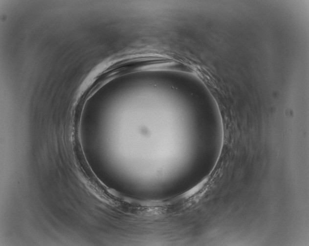 X0000062930056200601131522