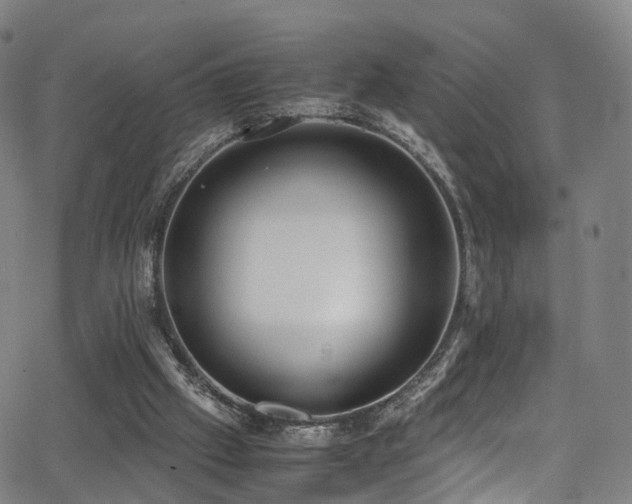 X0000062930057200601131522