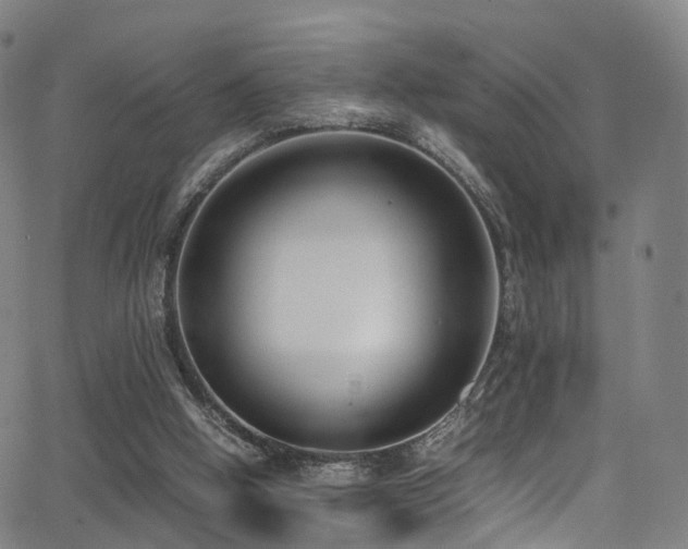 X0000062930058200601131522