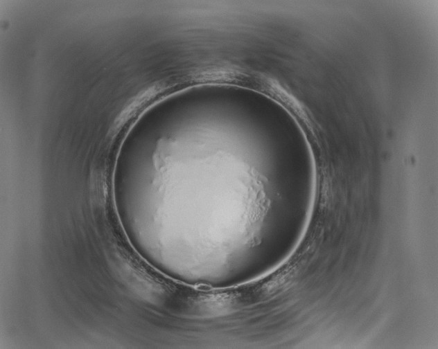 X0000062930059200601131522