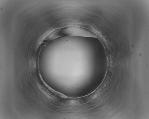 X0000062930060200601131522