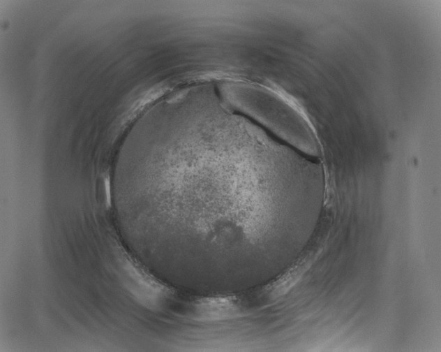 X0000062930061200601131522