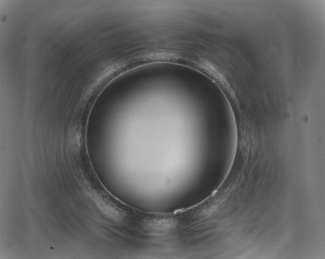 X0000062930063200601131522