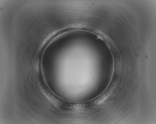 X0000062930064200601131522