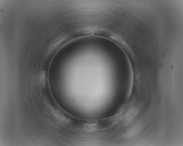 X0000062930066200601131522