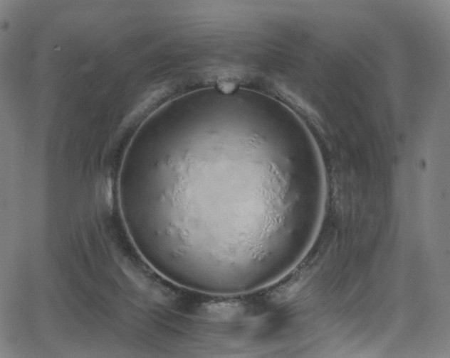 X0000062930067200601131522