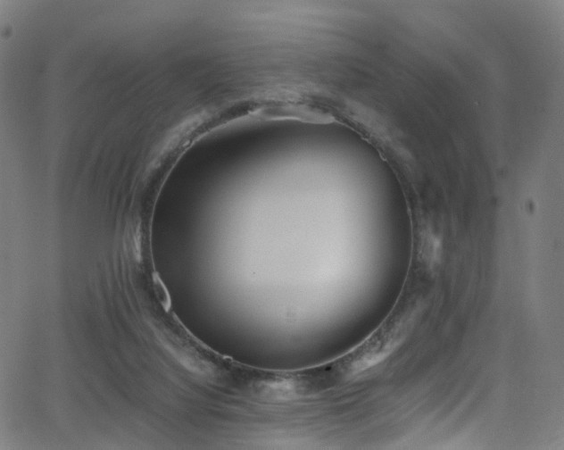 X0000062930068200601131522