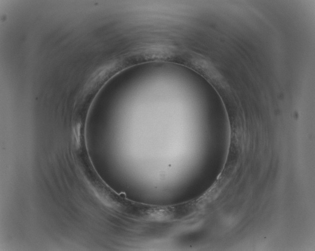 X0000062930070200601131522