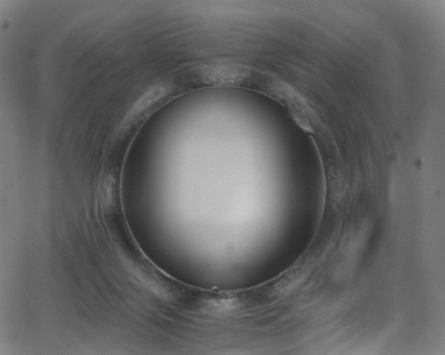 X0000062930071200601131522