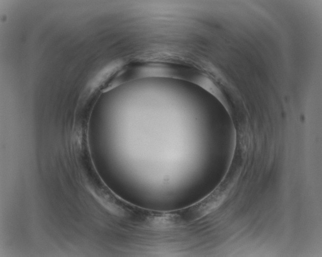 X0000062930072200601131522