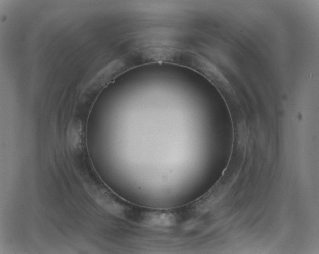 X0000062930073200601131522