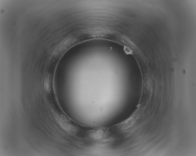 X0000062930074200601131522