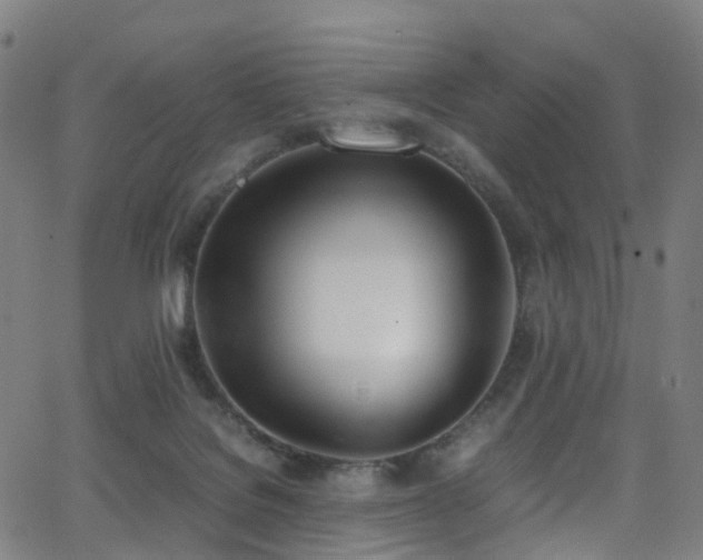 X0000062930076200601131522