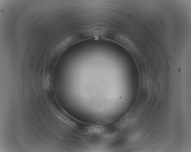 X0000062930077200601131522