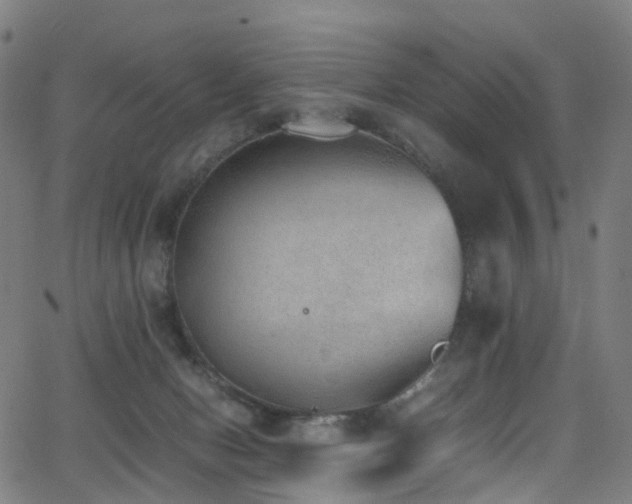 X0000062930078200601131522